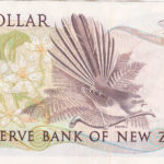Bird image on the 1985 New Zealand 1 dollar bill
