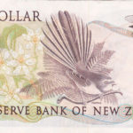 1 Dollar New Zeland 1985
