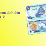 Bộ tiền Cayman 1997 dưới đèn UV