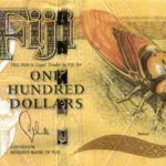 The banknotes have beautiful designs